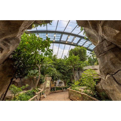 Deutschland_Zoo Leipzig_7.jpg