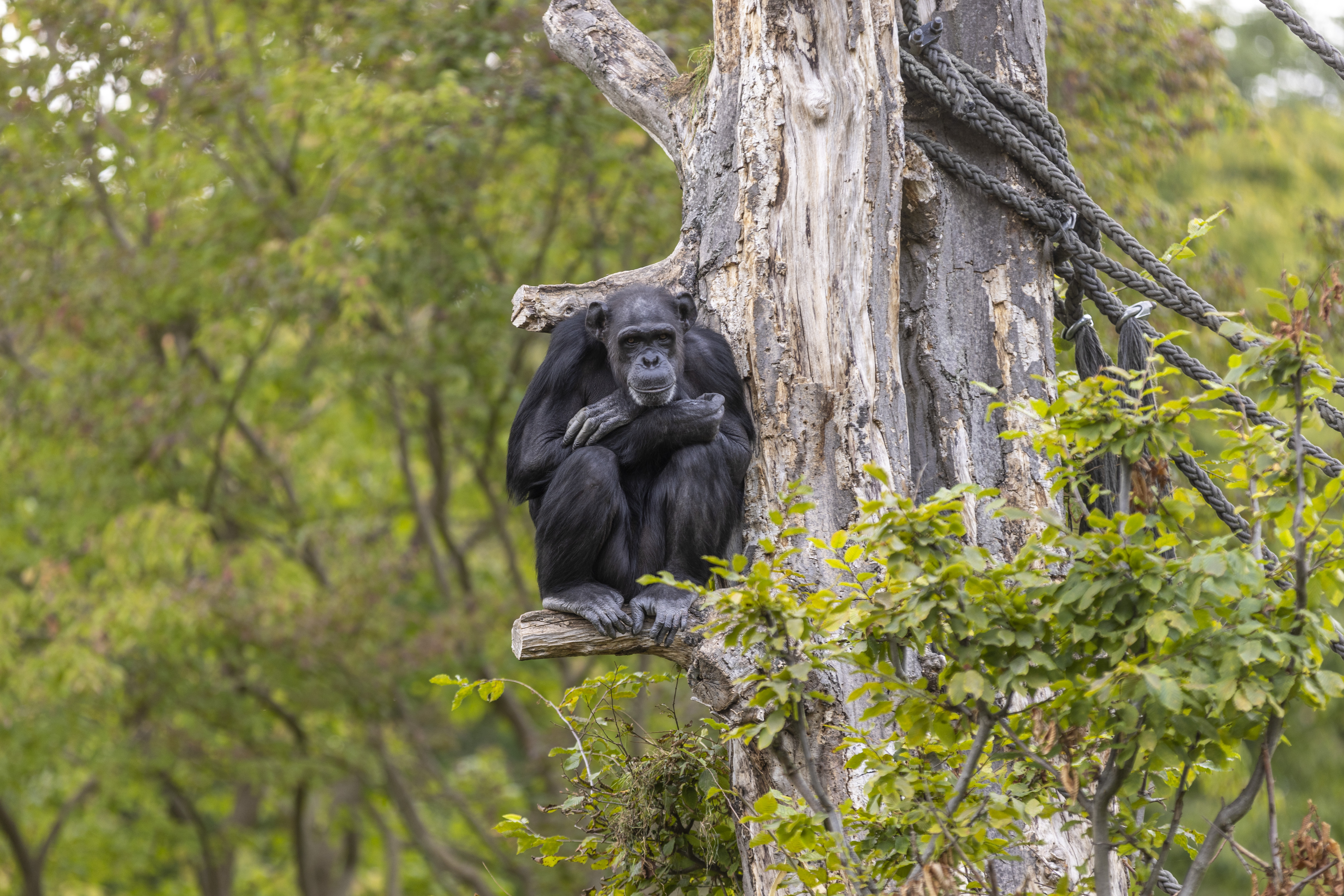Deutschland_Zoo Leipzig_6.jpg