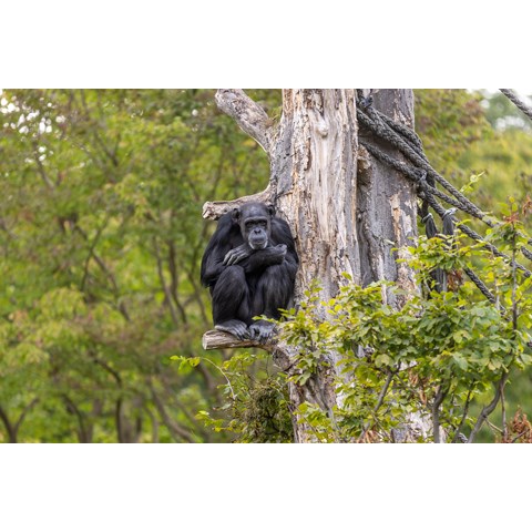 Deutschland_Zoo Leipzig_6.jpg
