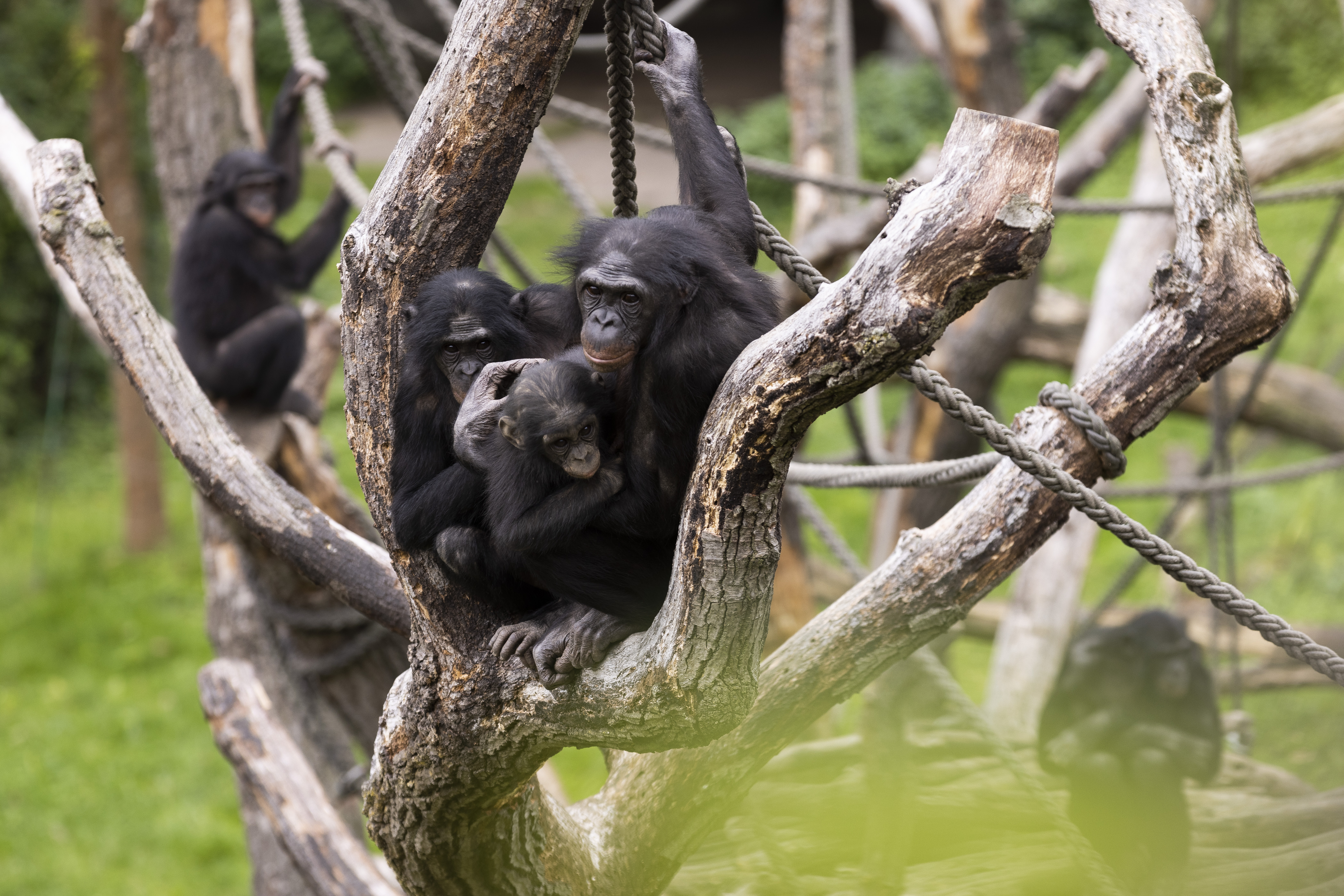 Deutschland_Zoo Leipzig_4.jpg