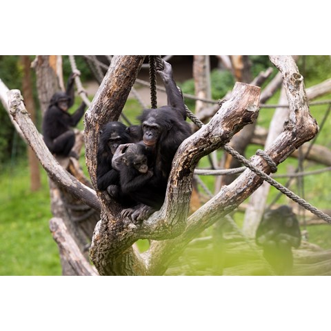 Deutschland_Zoo Leipzig_4.jpg