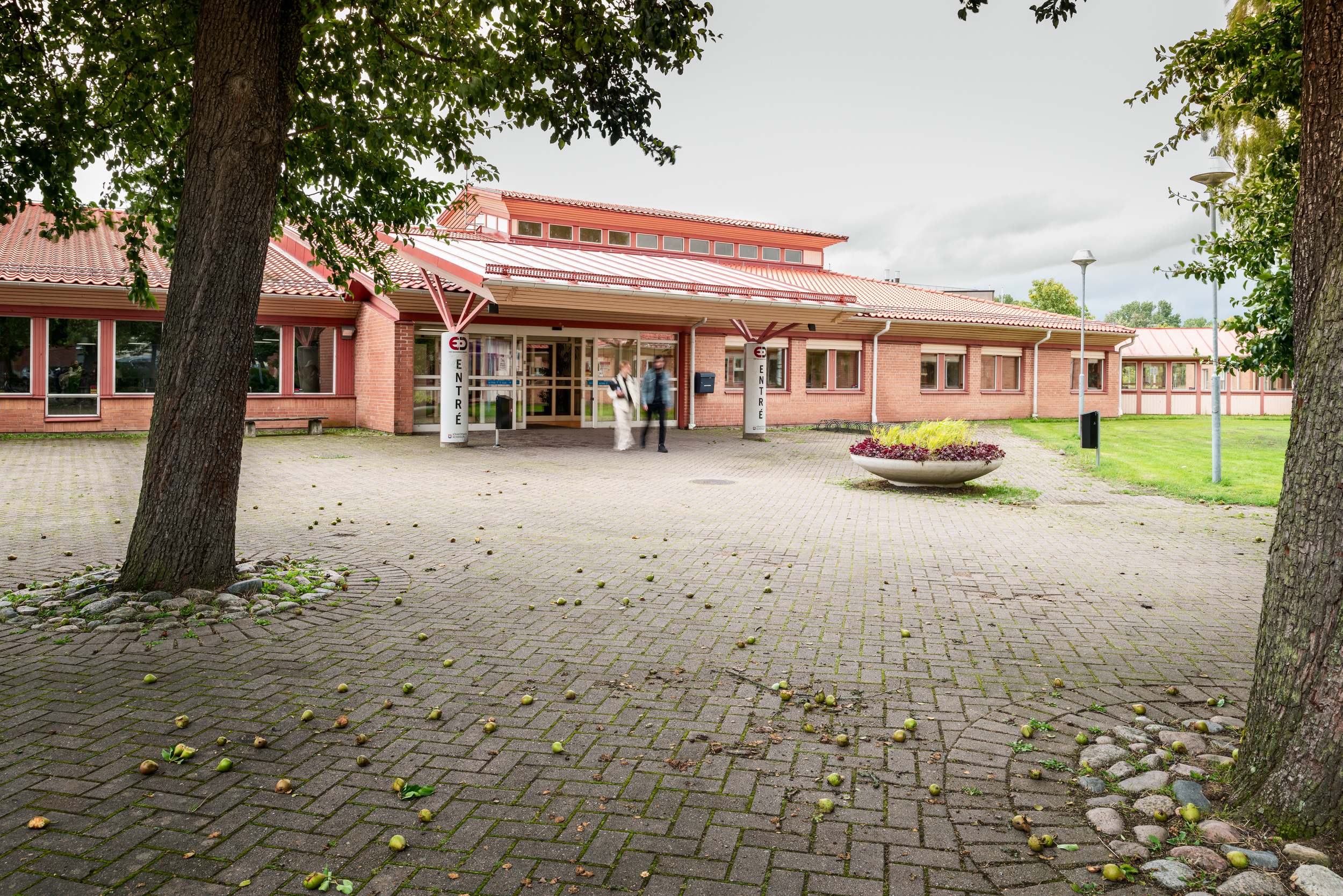 Erik Dahlbergsgymnasiet i Jönköping