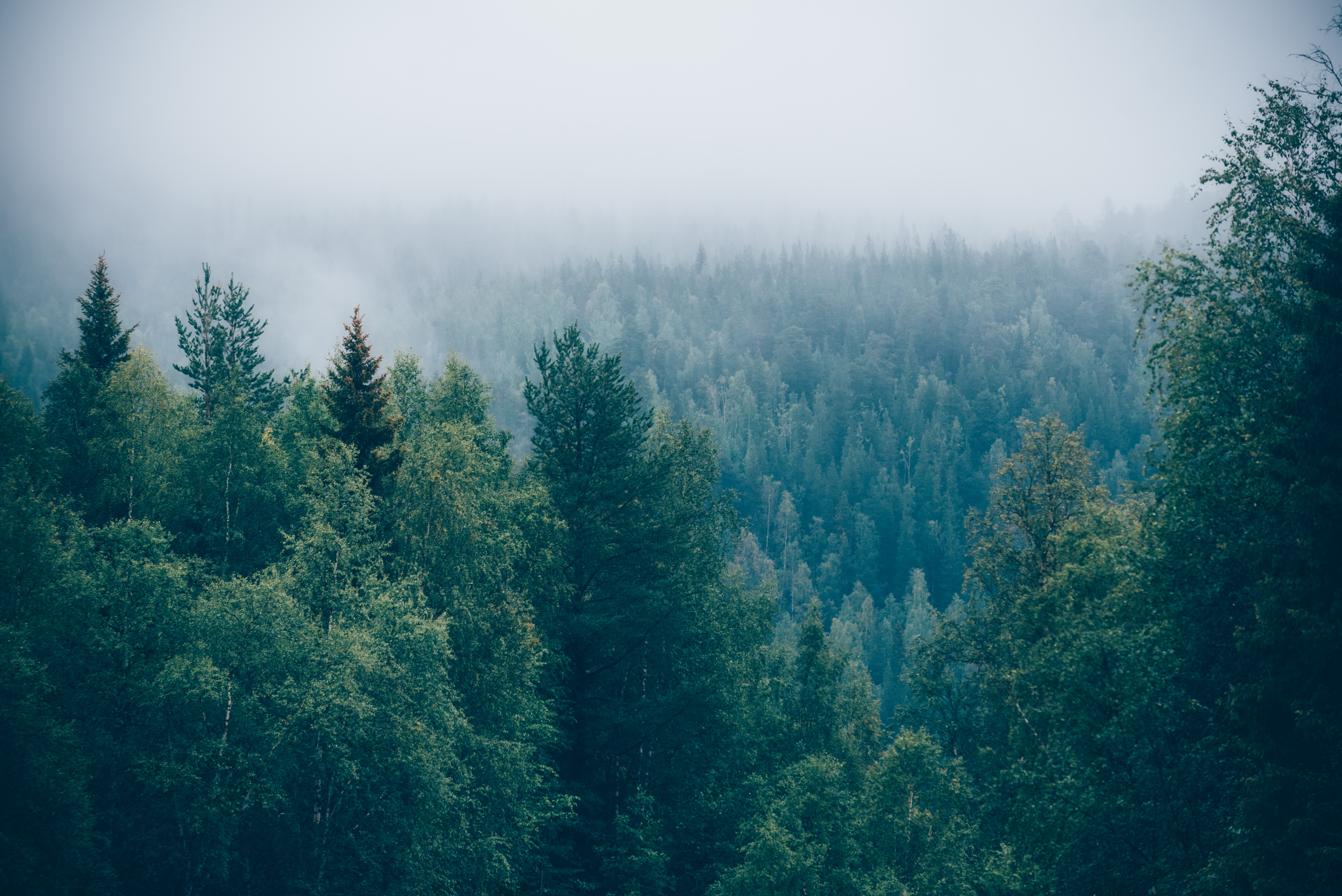 Science based targets.png