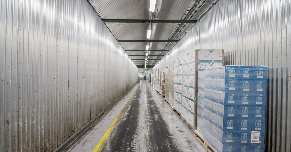 Cold and frozen storage