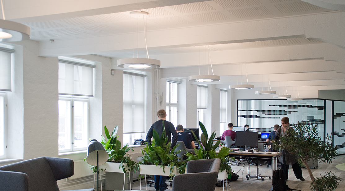 Open office light hotsell