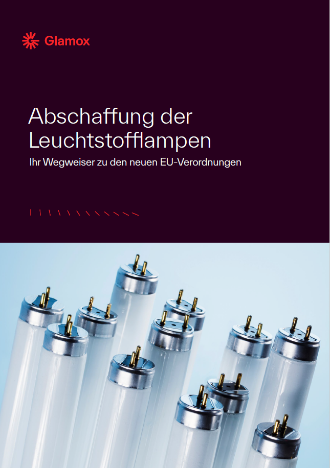 Cover_Abschaffung der Leuchtstoffl._DE.png