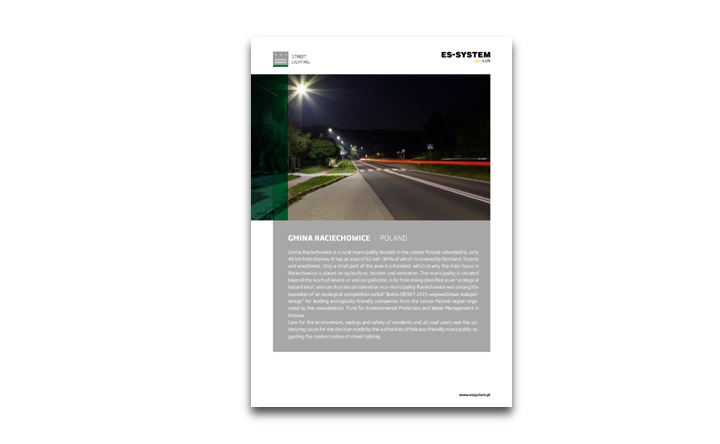 Street lighting - Raciechowice