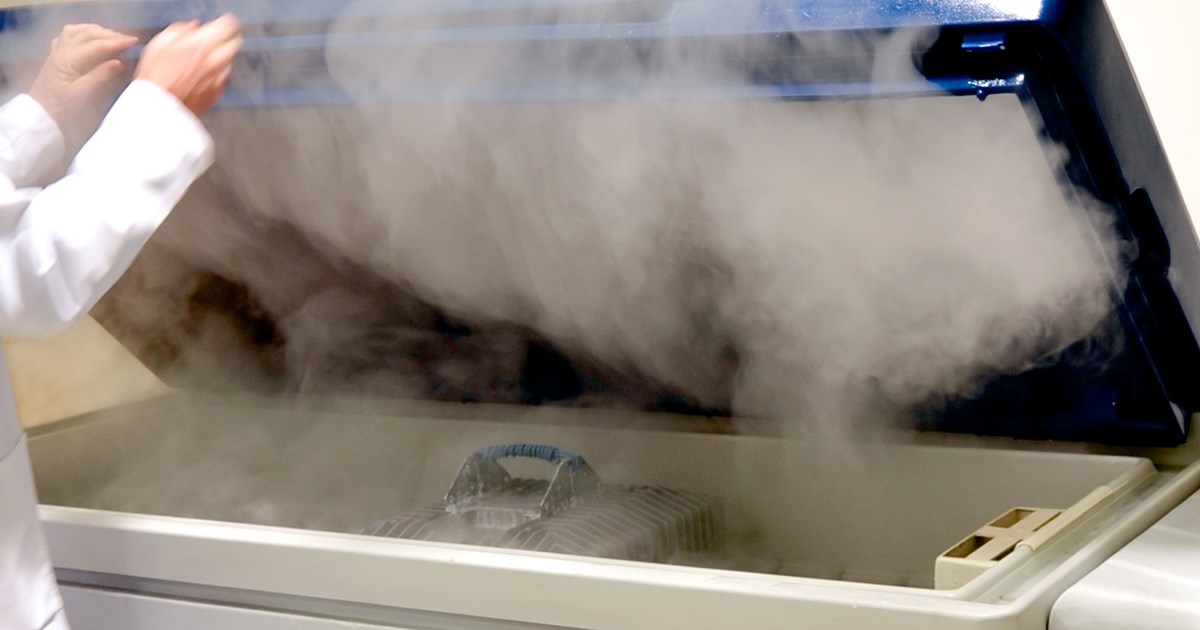 Salt mist spray test