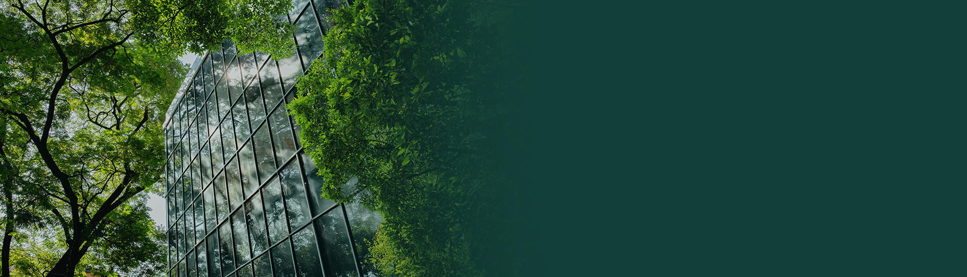 green house1 (1).jpg