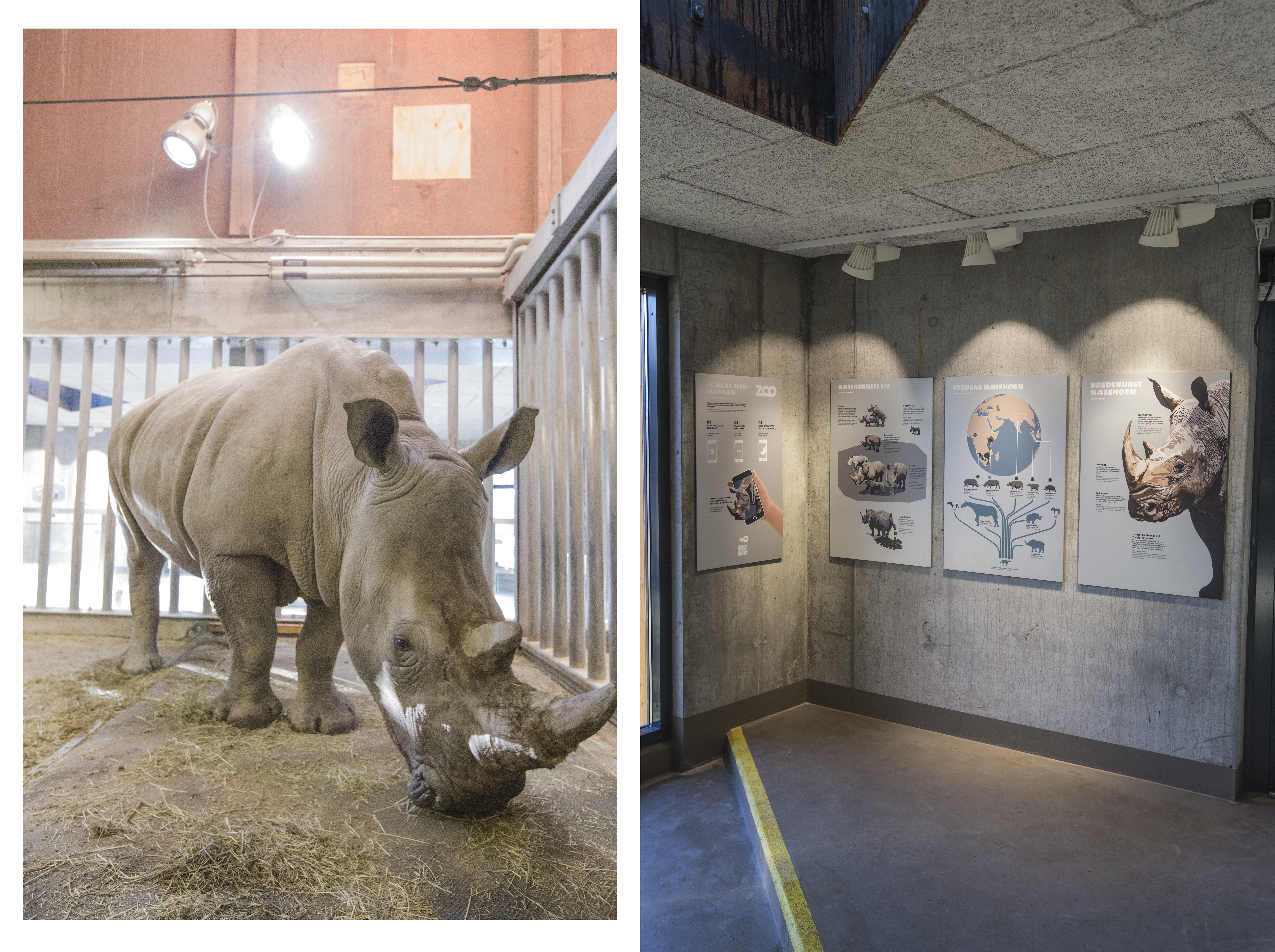 Porten til Savannen 04.jpg