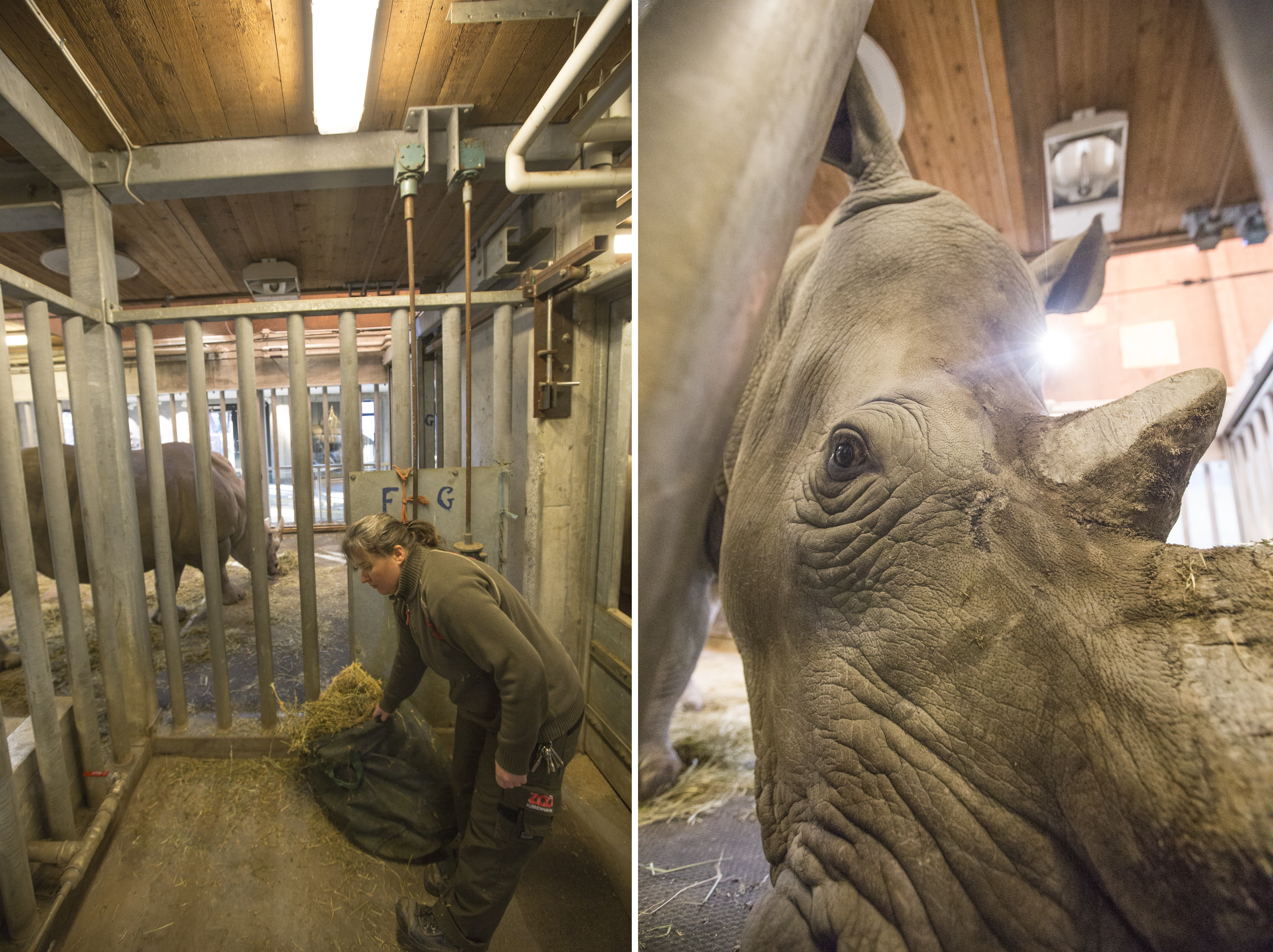 Porten til Savannen 05.jpg