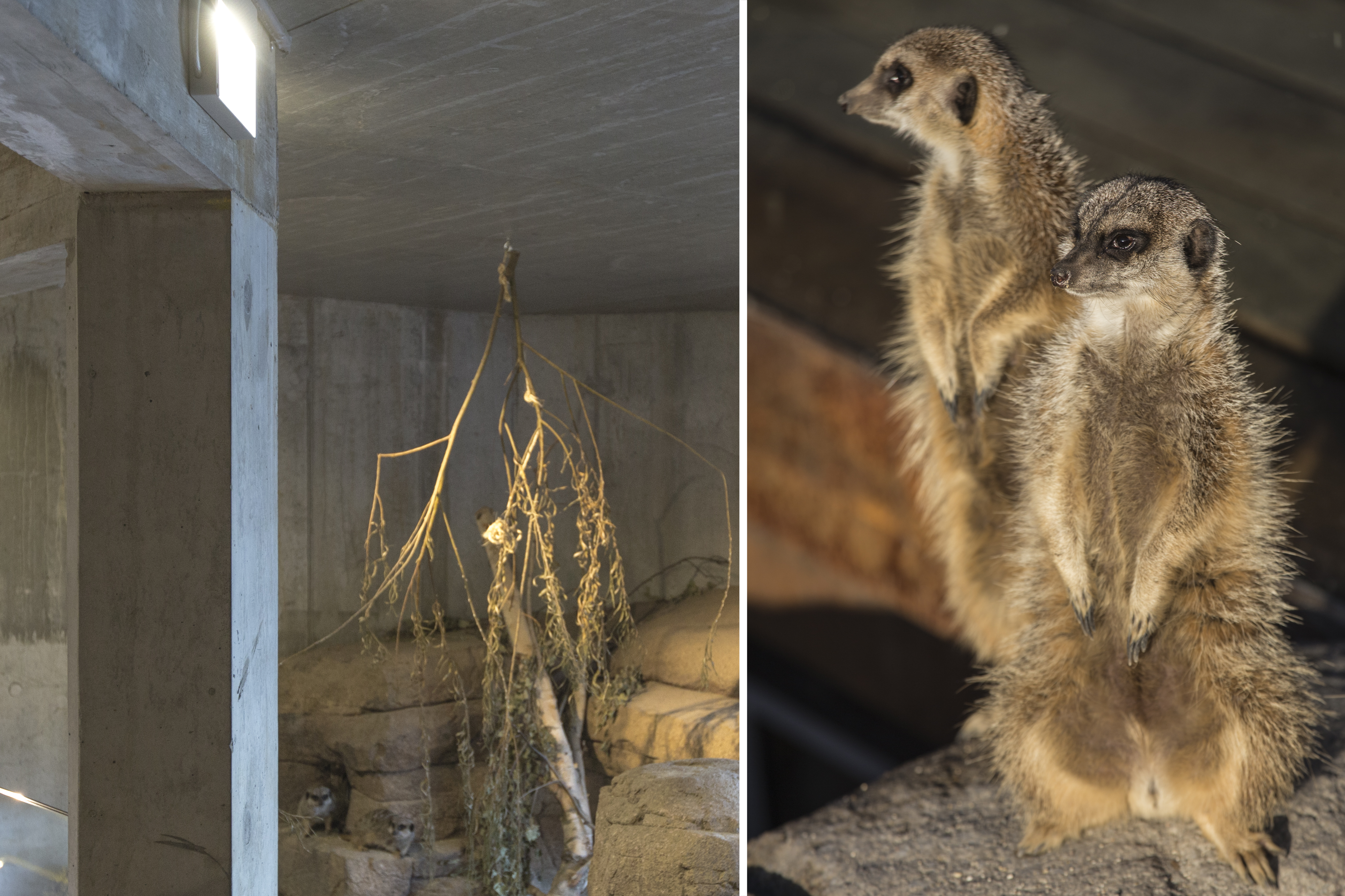 Porten til Savannen 09.jpg