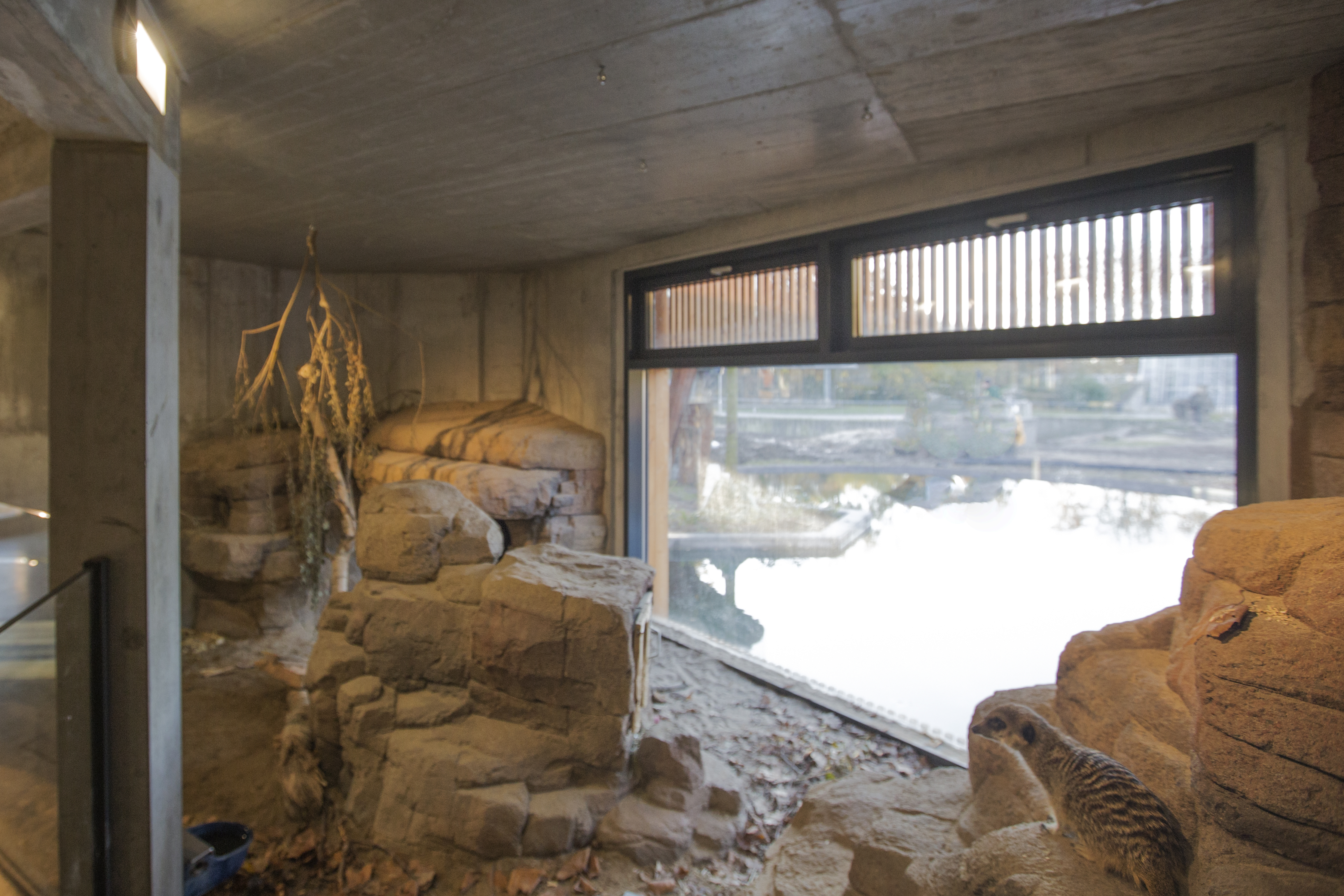 Porten til Savannen 10.jpg