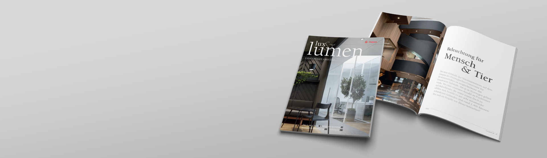 DE_consept_lux&amp;lumen_2022.jpg