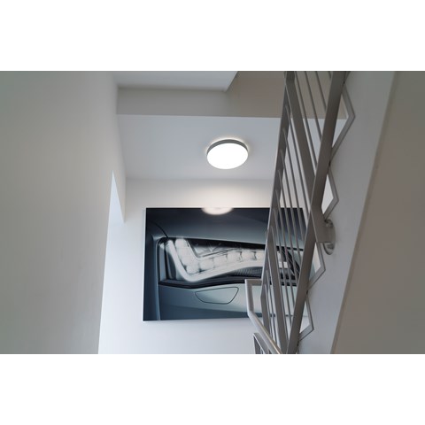 Audi showroom 10.JPG