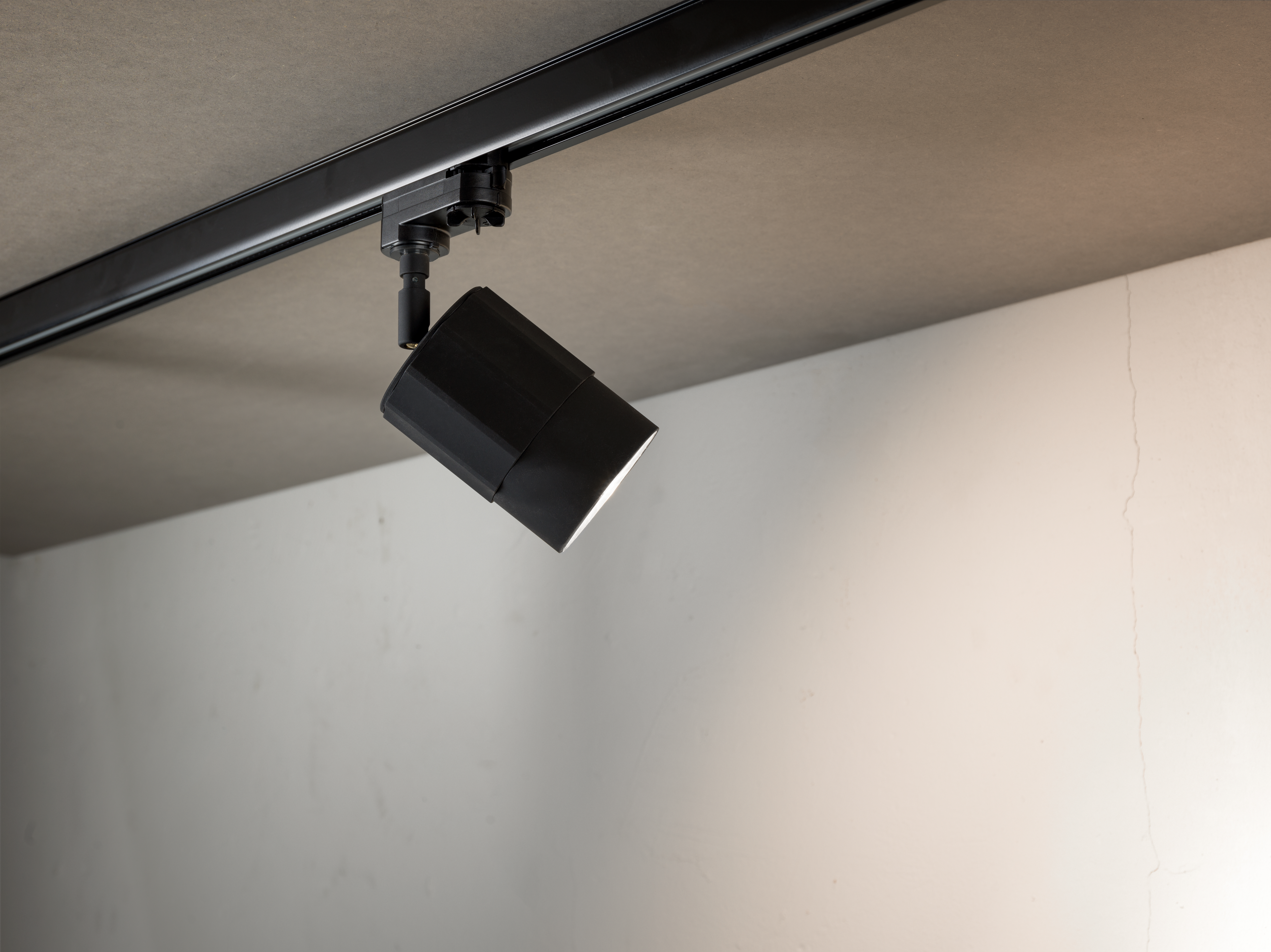 BLOND-Mill Spotlight.jpg