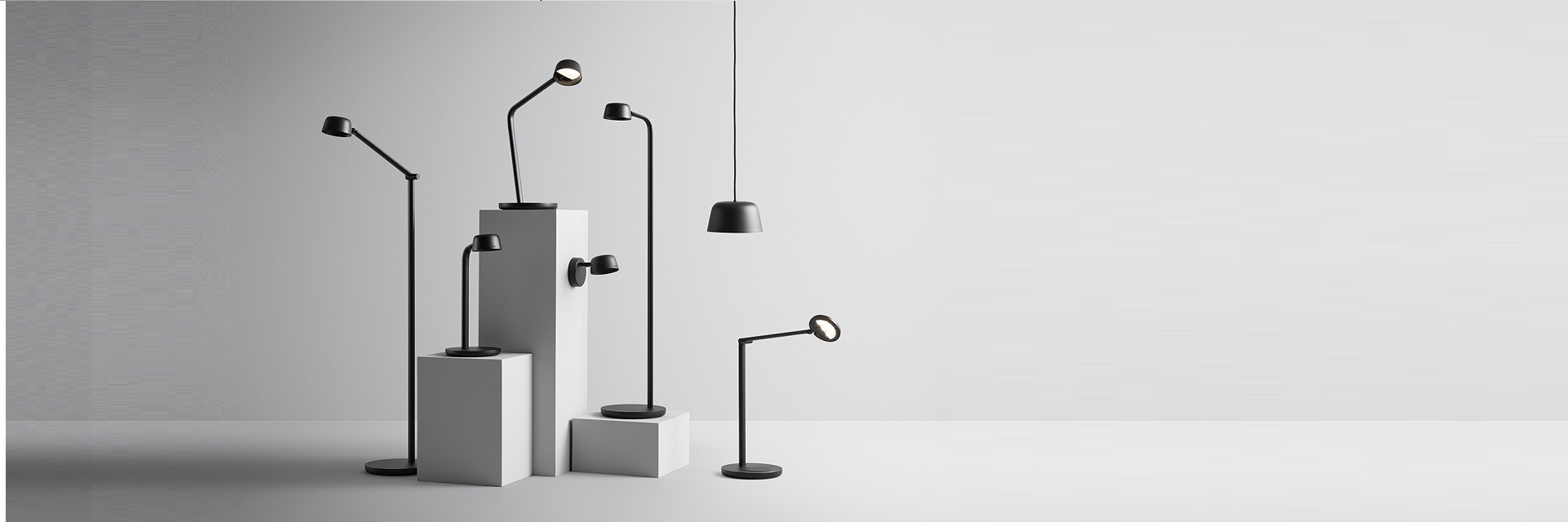 Motus family_banner.jpg