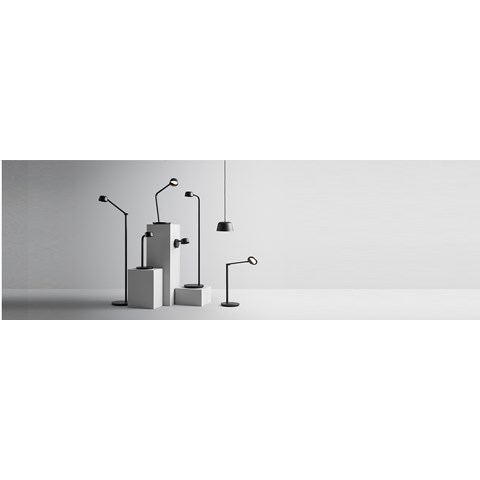 Motus family_banner.jpg