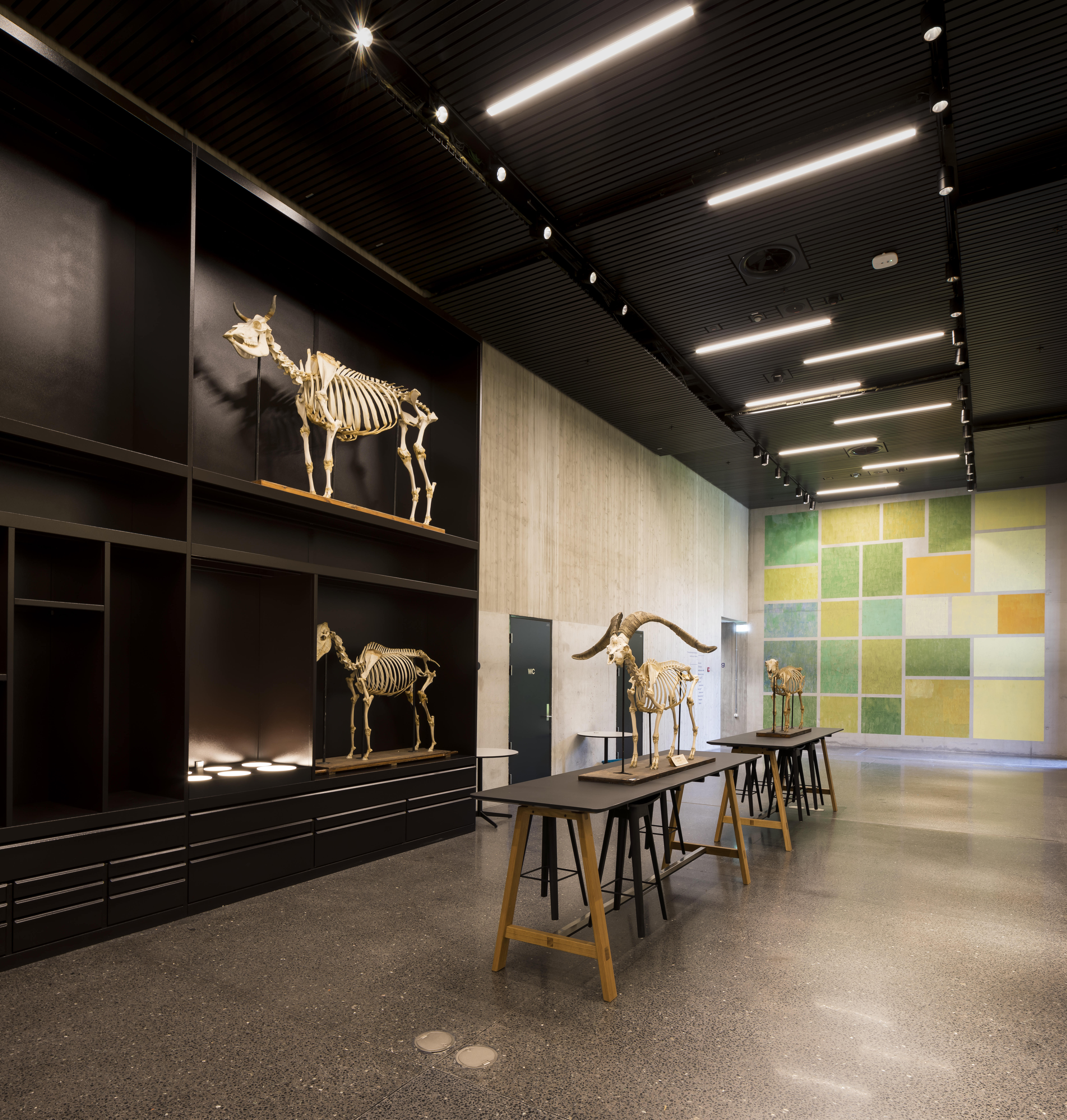 Display area with recessed luminaires