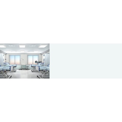 Artboard 1 copy 2.jpg