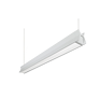 C56-P