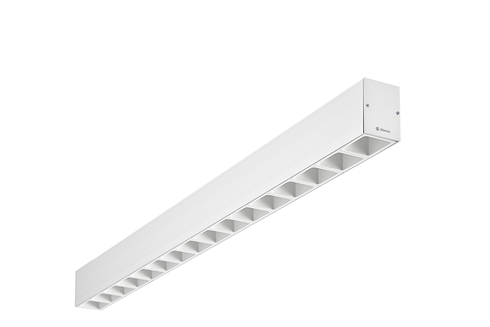 C80-S G2