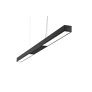 C81-P