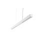 C81-P