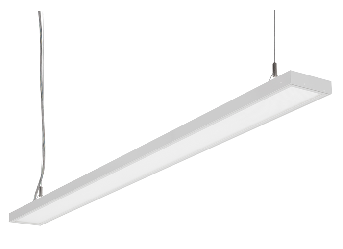 C95-P100