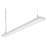C95-P100