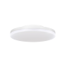 CIRCLE-S