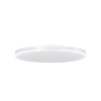 CIRCLE-S