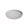 CORRILUX® 450C SM