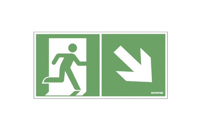 ARIS/ORTUS safety sign 125x250 mm. DOOR + DOWN/RIGHT