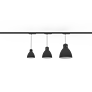 L-1 P G2