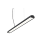 Motus Line