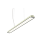Motus Line