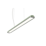 Motus Line
