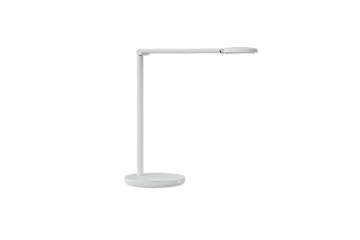 Motus Flat