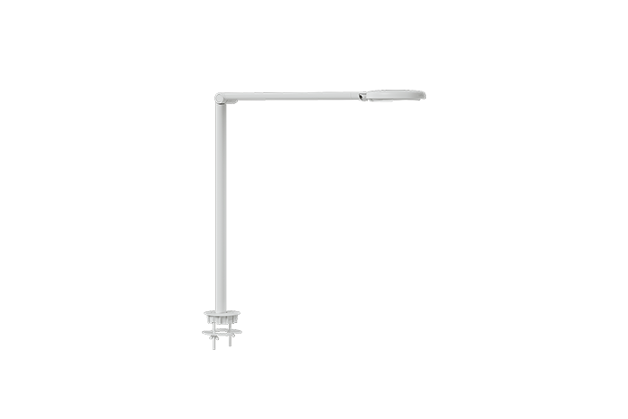 Motus Flat