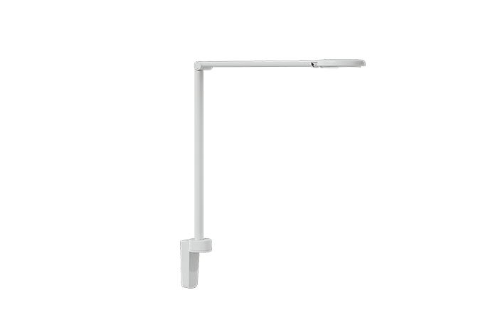 Motus Flat
