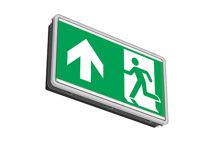 ORTUS-W SIGN