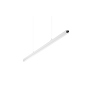 REDOX